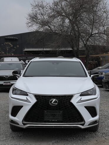 Lexus: Lexus NX: 2019 г., 2 л, Автомат, Бензин, Внедорожник