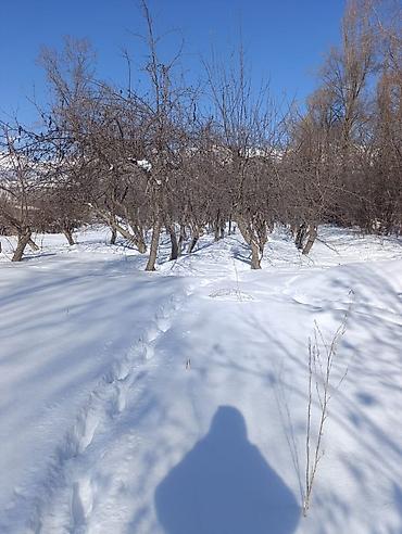 Продажа участков: 44 соток — 5