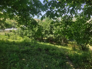 Torpaq sahələrinin satışı: 20 sot, Tikinti, Mülkiyyətçi, Kupça (Çıxarış), Texniki pasport — 6