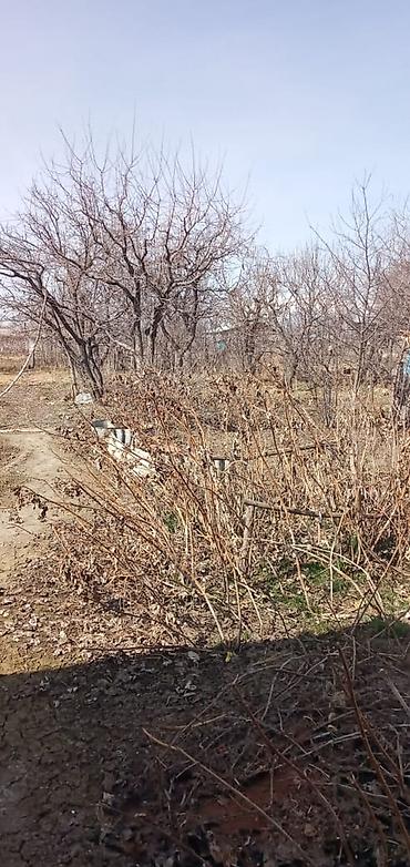Другие товары для дома и сада: Продаётся дом и грушевый сад 📍 Адрес: Иссык-Кульская область, село — 7