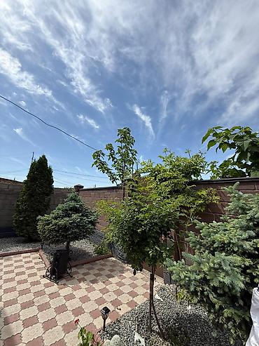 Долгосрочная аренда домов: 180 м², 5 комнат — 12
