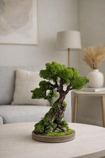Декоративные цветы: Деревья-бонсай из натурального стабилизированного мха🌳 -это — 29