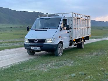 Mercedes-Benz Спринтер: 1999 г., 2.9 л, Механика, Дизель, Лимузин