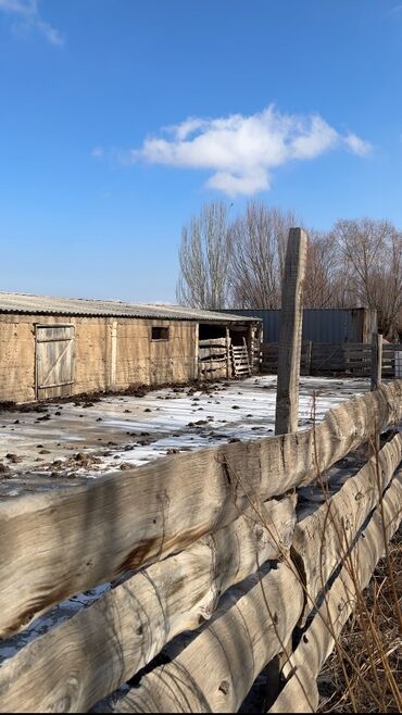 дом на ыссык куле: Времянка, 80 м², 2 комнаты, Собственник, Косметический ремонт