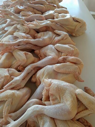 Молочные продукты и яйца: Ətinin dadi çox dadli temiz eti 850-950qramliq çolpalar satilir azi