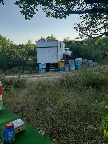 Digər kənd təssərüfat avadanlığı: Köçəri arıçılıq üçün komplekt trailer-karavanlar və avadanlıqlar - Üç — 2