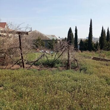 Torpaq sahələrinin satışı: 16 sot, Tikinti, Mülkiyyətçi, Kupça (Çıxarış) — 10
