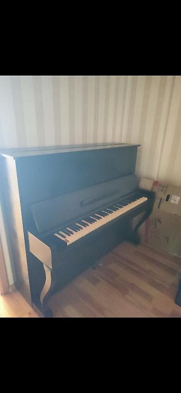 Musiqi alətləri: - Korpus: klassik düz (upright) model, qara rəngli ağac örtük - — 2