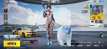 Другие видеоигры: Игровой аккаунт PUBG Mobile Донатный аккаунт Серьезному покупателю — 1