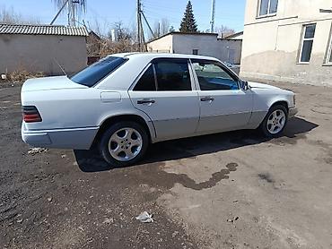 Унаа: Mercedes-Benz W124: 1990 г., 2.3 л, Кол менен иштөөчү, Бензин, Седан — 3