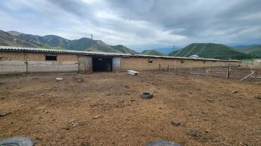 Сельхоз предприятия: Продаю Кошара, 2000 соток, Не действующий, Частично с оборудованием, Электричество — 6