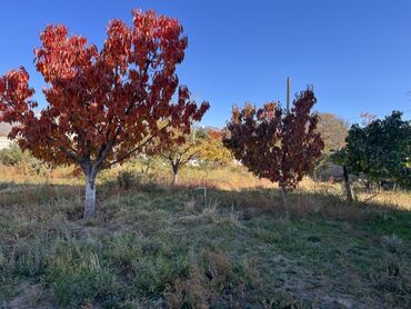 Продажа домов: Дом, 297 м², 6 комнат, Риэлтор, Евроремонт at lalafo.kg — 24 Продажа домов: Дом, 297 м², 6 комнат, Риэлтор, Евроремонт — 24