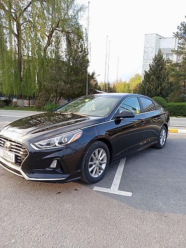 Hyundai Sonata: 2019 г., 2.4 л, Автомат, Бензин, Седан