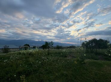 oguz rayonunda torpaq satilir: 50 sot, Mülkiyyətçi, Kupça (Çıxarış)