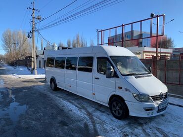 мерс валчок: Mercedes-Benz Sprinter: 2003 г., 2.7 л, Механика, Дизель, Бус