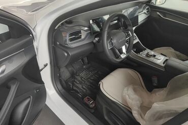 BYD: BYD : 1.5 l | 2024 il 55 km Sedan — 14