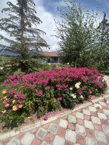 Иссык-Куль 2025: Коттедж, Цо Пари ЦО Париж, Чок-Тал, Барбекю, Бассейн, Батут — 17