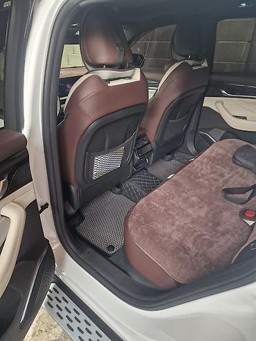 Geely: Geely Monjaro: 2024 г., 2 л, Бензин, Кроссовер — 8