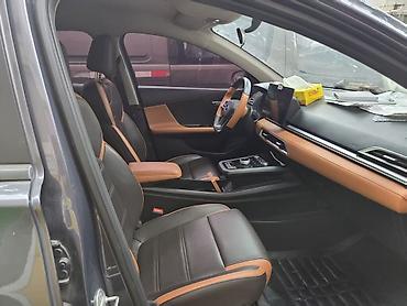 BYD: BYD E2: 2021 г., 0.1 л, Автомат, Электромобиль, Хэтчбэк — 7