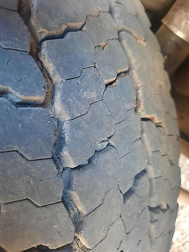 maşın cexollari: Cordiant Professional DR-1 Driving Axle yük avtomobili təkəri - Ölçü — 7