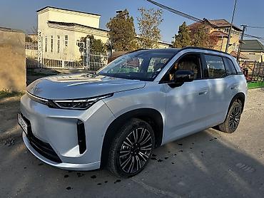 GAC: Самая максимальная комплектация на 650 км растаможена по ТПО — 9