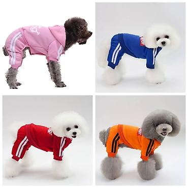 Зоотовары: ПРОДАЮ КОШАЧЬЮ МЯТУ(АНТИСТРЕСС),ПОРАДУЙТЕ СВОГО КОТИКА ТАКОЙ — 18