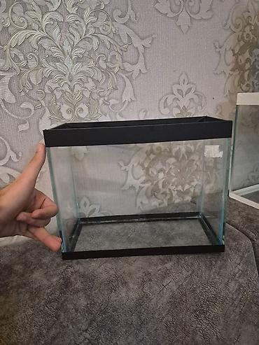 akvarium kompressor: Salam, 2 eded balaca akvaruım ve 3-4 adavanlığları her biri işlek — 2