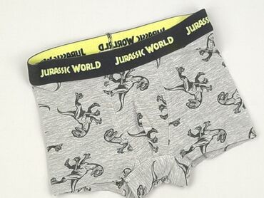 plny bielizna: Panties, Disney, 5-6 years, condition - Perfect