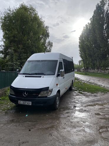 hyundai porter транспорт: Автобус, 2000 г.