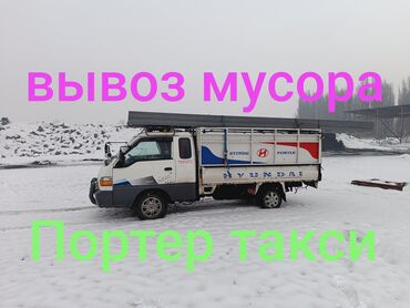 амуниция для собак: Вывоз мусора вывоз мусора вывоз Вывоз мусора вывоз мусора вывоз