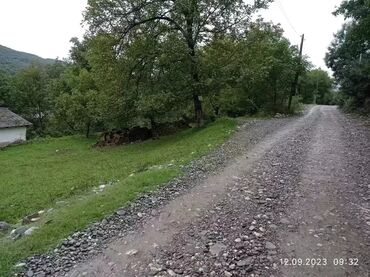 ləhiş bağları torpaq: 8 sot, Tikinti, Kupça (Çıxarış)