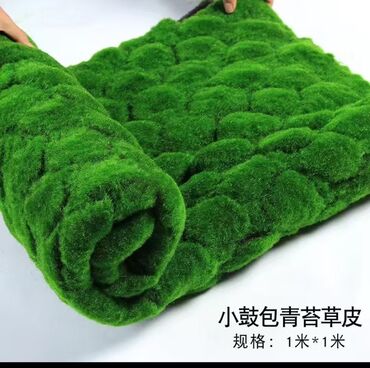 Digər bitkilər: Məhsul: Təbiətvi̇ zolaqlı yosun/mahov örtüyü – hazır plitələr Təsvir — 12