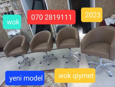 Otaq bitkiləri: Yeni, Saş kəsimi kreslosu