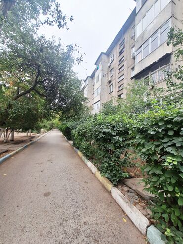 Продажа квартир: 2 комнаты, 43 м², 104 серия, 5 этаж, Старый ремонт at lalafo.kg — 15 Продажа квартир: 2 комнаты, 43 м², 104 серия, 5 этаж, Старый ремонт — 15