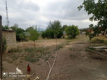 tərtərdə torpaq satılır: 28 sot, Biznes üçün, Barter mümkündür, Bələdiyyə