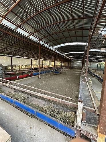 сузики вагон р: Продаются готовая фермерская хозяйство 10 сотка земли | — 10