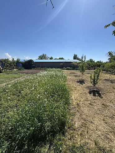 Продажа коттеджей и домов: ✨ Продаётся дом в с. Сокулук ✨ 🏡 Характеристики: • Участок - 13,5 — 4