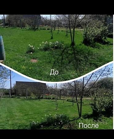 Уборка территории: Уборка территории, Уборка двора и сада — 16