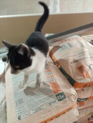 сдаю частный дом без хозяина: Коттедж, 135 м², 5 комнат