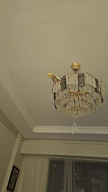 Yeni tikili: Yasamal, 2 otaqlı, Yeni tikili, m. İnşaatçılar, 37 kv. m — 5
