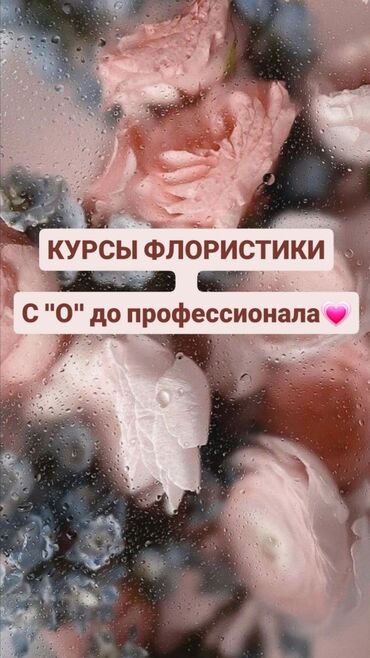 Творчество, искусство: Офлайн, Индивидуальное Выдается сертификат