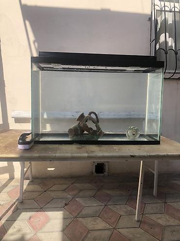 akvarium baki: Akvarium satılır 90 lt dir tutumu. Havalandırma sistemi şlank — 1