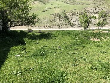 Torpaq sahələrinin satışı: 30 sot, Kənd təsərrüfatı, Mülkiyyətçi, Kupça (Çıxarış) -da lalafo.az — 15 Torpaq sahələrinin satışı: 30 sot, Kənd təsərrüfatı, Mülkiyyətçi, Kupça (Çıxarış) — 15