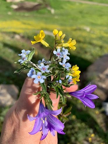 Туристические услуги: Приглашаем на Кумысолечение с 1-го мая!!! Лечебное кобылье молоко в — 8