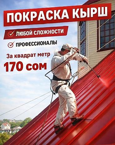 Кровля крыши: Покраска крыш 
покраска фасадов любой сложности — 1