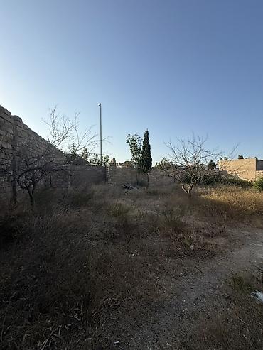 yasil dere torpaq satilir: 4 sot, Tikinti, Mülkiyyətçi, Kupça (Çıxarış) — 5