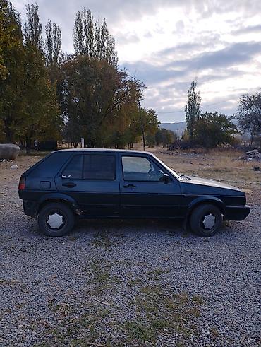 джаз авто: Volkswagen Golf: 1991 г., 1.8 л, Механика, Хэтчбэк — 2