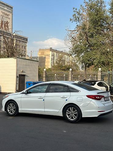 hyundai ionic: Hyundai Sonata: 2017 г., 2.4 л, Автомат, Бензин, Седан — 3
