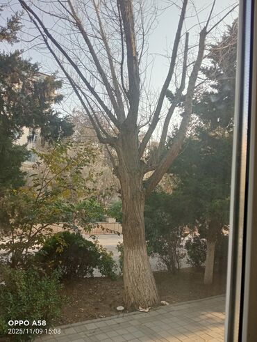 Həyət evləri və villaların satışı: 5 otaqlı, 150 kv. m, Yeni təmirli — 26