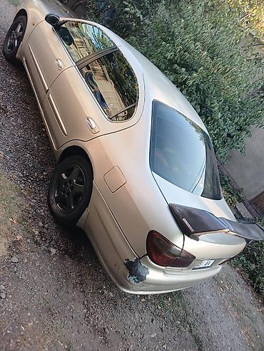Продажа авто: Nissan Cefiro: 2000 г., 2.5 л, Автомат, Бензин, Седан — 3